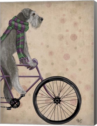 Framed Schnauzer on Bicycle, Grey Print