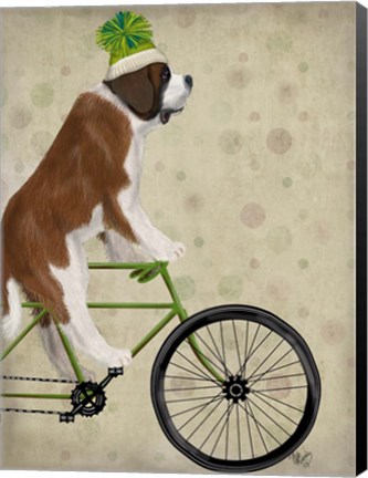 Framed St Bernard on Bicycle Print