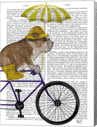 Framed English Bulldog on Bicycle Print