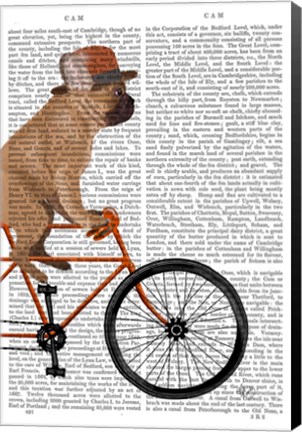 Framed French Bulldog on Bicycle Print