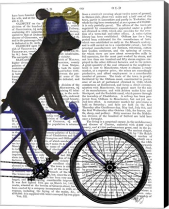 Framed Black Labrador on Bicycle Print