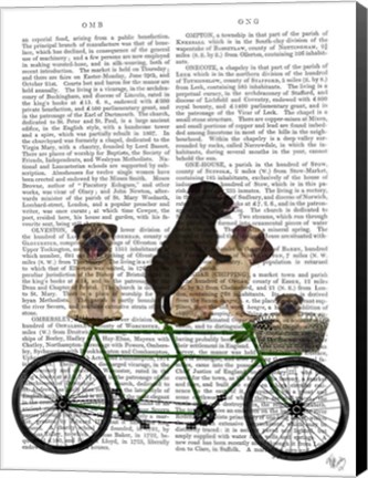 Framed Pug Tandem Print