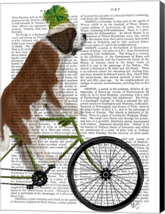 Framed St Bernard on Bicycle Print