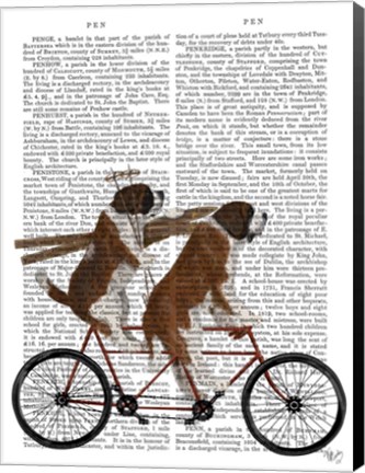 Framed St Bernard Tandem Print