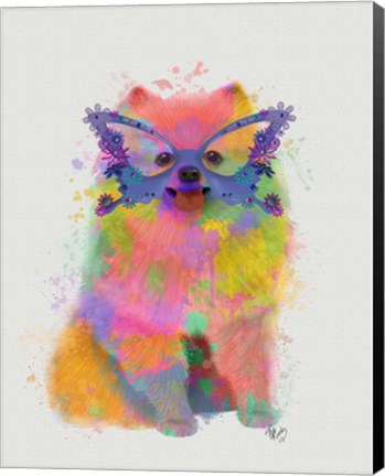 Framed Rainbow Splash Pomeranian Print