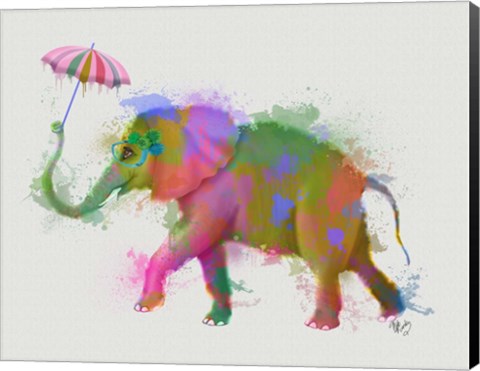 Framed Rainbow Splash Elephant Print