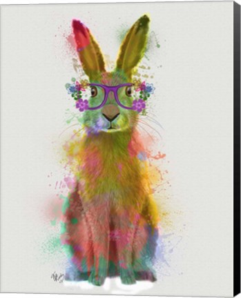 Framed Rainbow Splash Rabbit 1 Print