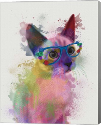 Framed Rainbow Splash Cat 2 Print