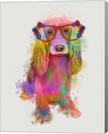 Framed Rainbow Splash Cocker Spaniel, Full Print