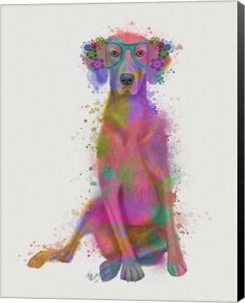 Framed Rainbow Splash Weimaraner, Full Print