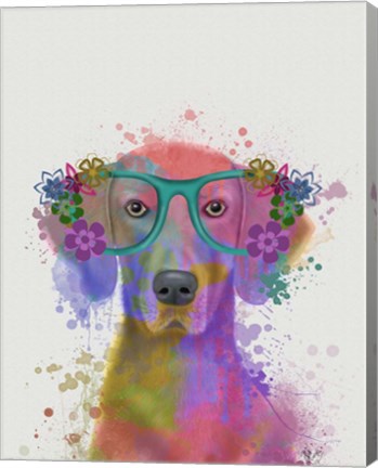 Framed Rainbow Splash Weimaraner, Portrait Print