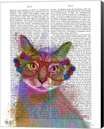 Framed Rainbow Splash Cat 1 Print