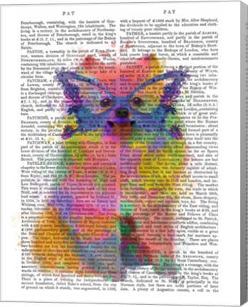 Framed Rainbow Splash Pomeranian Print