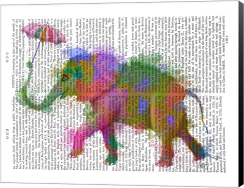 Framed Rainbow Splash Elephant Print