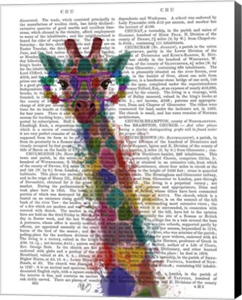 Framed Rainbow Splash Giraffe 1 Print