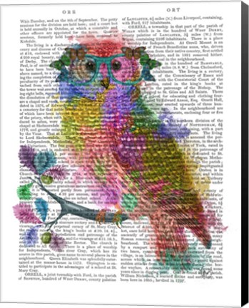 Framed Rainbow Splash Owl Print