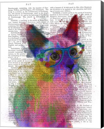 Framed Rainbow Splash Cat 2 Print