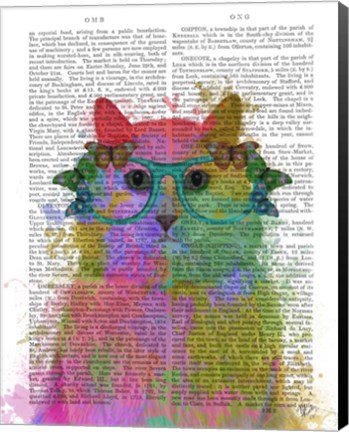Framed Rainbow Splash Cat 3, Portrait Print
