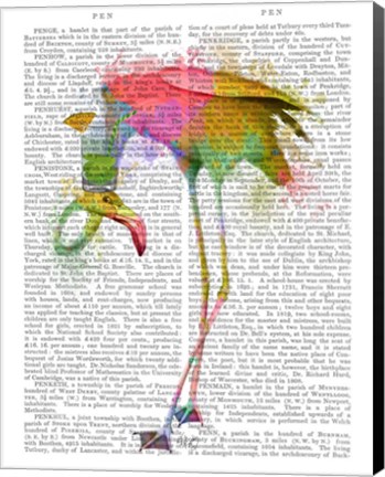 Framed Rainbow Splash Flamingo 4 Print