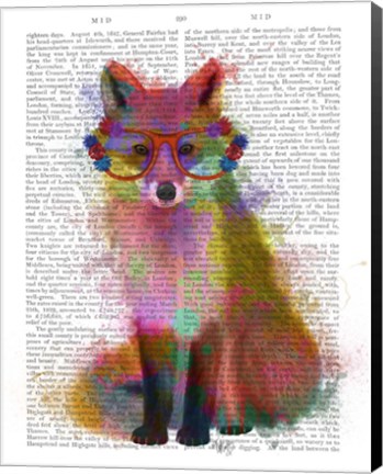 Framed Rainbow Splash Fox 2 Print