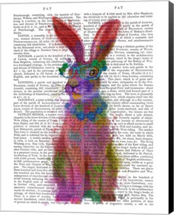 Framed Rainbow Splash Rabbit 2, Full Print