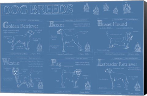 Framed Dog Breeds Infograph Print