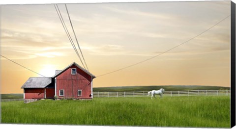 Framed Farm &amp; Country IV Print