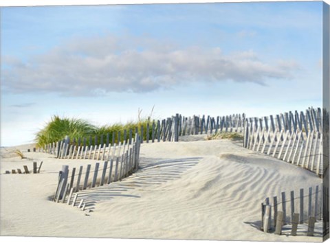 Framed Beachscape III Print