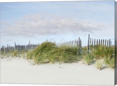 Framed Beachscape IV Print