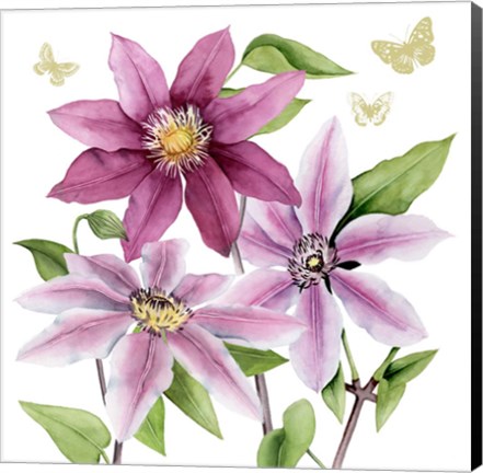 Framed Clematis Climb I Print