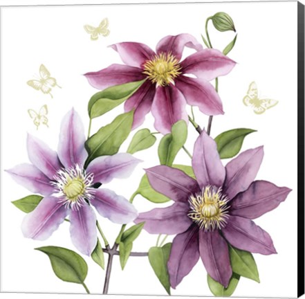 Framed Clematis Climb II Print