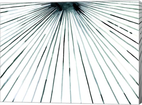 Framed Strobe II Print