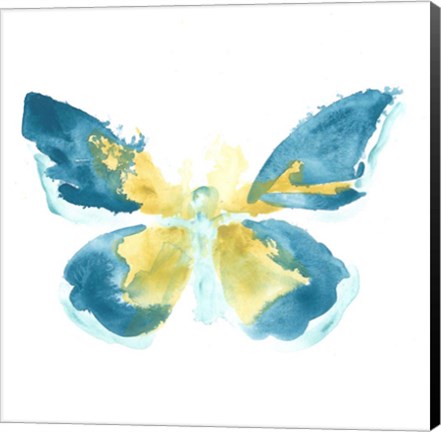 Framed Butterfly Traces I Print