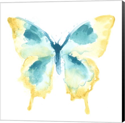 Framed Butterfly Traces II Print