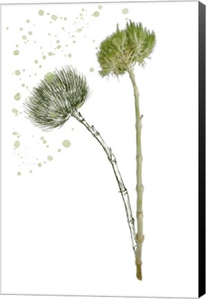 Framed Botany Flower V Print