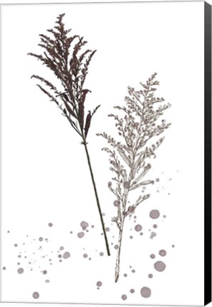 Framed Botany Flower VI Print