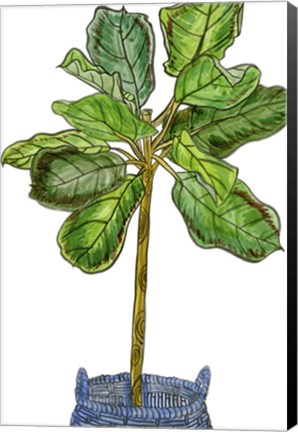 Framed Potted Jungle IV Print