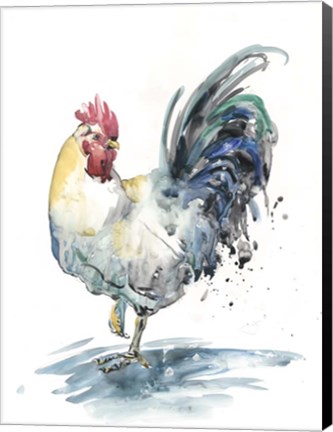 Framed Rooster Splash I Print