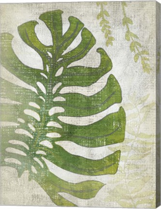 Framed Frond III Print