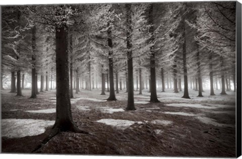 Framed Onset Of Winter Print