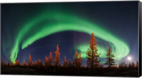 Framed Northern Lights Print