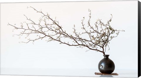 Framed Vase And Branch Print