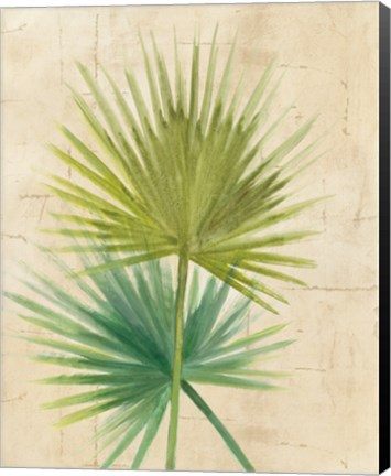 Framed Fan Palm Print