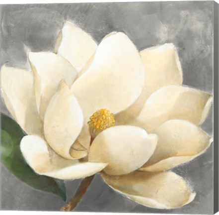 Framed Magnolia Blossom on Gray Print