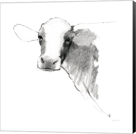 Framed Cow II Dark Square Print