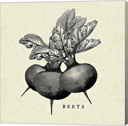 Framed Linen Vegetable BW Sketch Beets Print