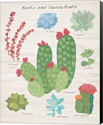 Framed Succulent and Cacti Chart IV on Wood Print