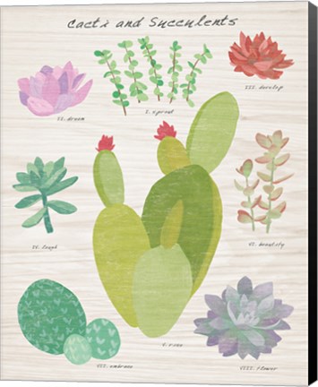 Framed Succulent and Cacti Chart III on Wood Print
