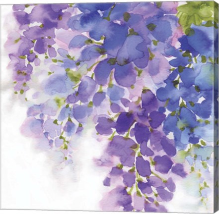 Framed Wisteria I Print