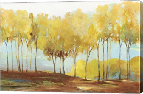 Framed Yellow Trees Print
